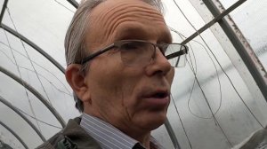 заглубленная теплица осенью.