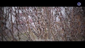 НОВАЯ АХЫСКА ТУРЕЦКАЯ ПЕСНЯ "Аналар" Ahiska Turkce sharki Klip