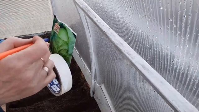 СЕЕМ КАПУСТУ В ТЕПЛИЦУ НА РАССАДУ?? смотреть онлайн