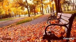 Поздней осенней порой İnstrumental Gitar