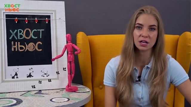 Можно ли собакам грызть кости? Как правильно кормить собак? смотреть онлайн