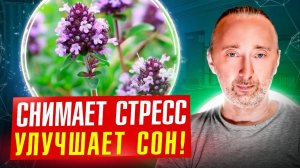 Эта трава снимает стресс и головную боль, улучшает сон, зрение, нервы, работу ЖКТ, убивает инфекции!