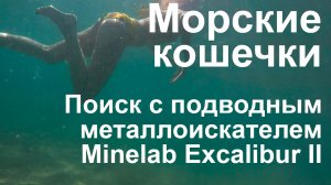 Морские кошечки. Поиск с подводным металлоискателем Minelab Excalibur 2