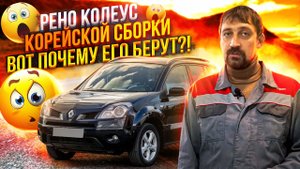 Все по существу о Renault Koleos 2008 2.5L 4WD | Куда смотреть при покупке | Мнение Эксперта