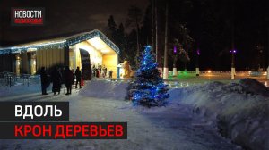 Новый каток в лесу открылся в Мытищах