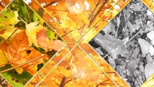 Бесплатный проект ПроШоу Продюсер "Вот и лето прошло"