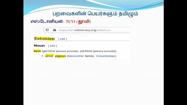 பறவைகளின் பெயர்களும் தமிழும் | Tamil | Bird Names and Tamil | Paayiram Aayiram | Evvi | எவ்வி смотреть онлайн