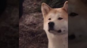 Стиль это все!!!Красивые слова!!!