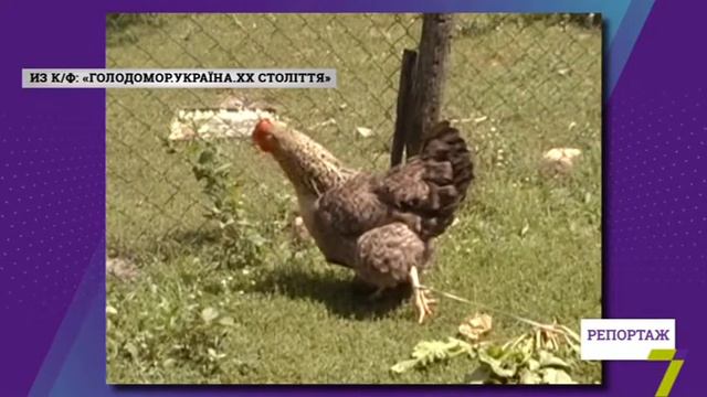Голодомор 1932 - 1933: историческая травма
