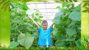 ИНВАПРОФИ РЯБОВА.mp4