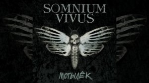 Тринадцать