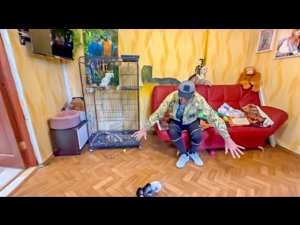 Влад защищает Степашку от Люси как БОЛЬШОЙ ГАМАДРИЛ)))