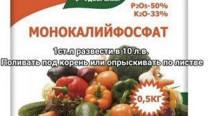 После этой подкормки розы будут цвести обильно все лето. Подкормите розы этим удобрением