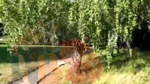 Михаил Шуфутинский - Сингарелла