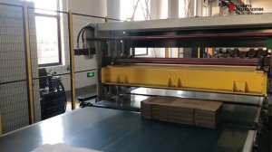 Shinko SA Movable, pizza box line with full automation