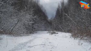 опять метель минусовка