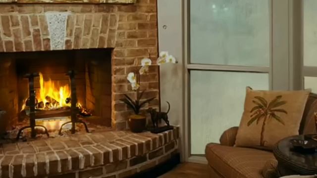 Жизненная история, как собака соединила два сердца... смотреть онлайн