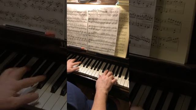 Beethoven Sonata op.13 Pathétique III-2 Соната 8 Патетическая_ пульс, артикуляци.mp4