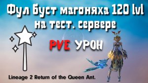 Lineage 2. Фул буст громовержец сайхи 120 лвл в пве на тестовом сервере.