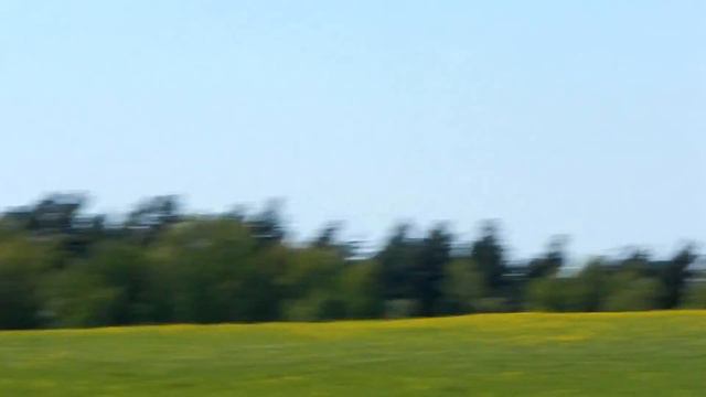 Прогулка Барово, Пустое Рождество, Сорокино, Горюшка, Новосёлки 11 мая 2014 29 смотреть онлайн