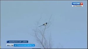 Брошенных земель в Астраханской области становится больше
