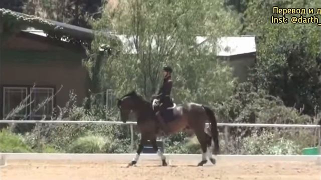 МЕНКА НОГ В ВОЗДУХЕ: Начало обучения смотреть онлайн