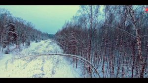 Алиса - Душа