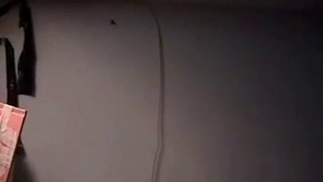 Bug Killers!: An Underdog Story смотреть онлайн