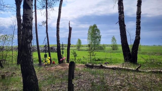 Маковье, Александровский, Успенский (Выгоничский район, Брянская область): фотоподборка