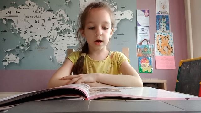 кускусы и сумчатые летяги