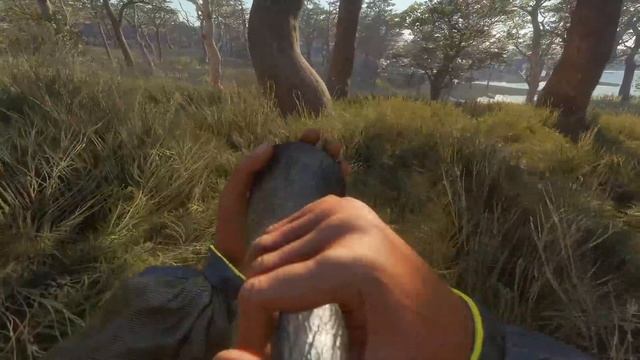 theHunter Call of the Wild #13 ? - Парк Фернандо (часть 1) - Максимальная Симуляция Охоты смотреть онлайн