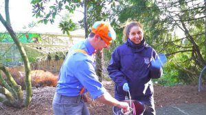 Блиппи утилизирует мусор - Блиппи на Русском - Изучай этот Мир вместе с Блиппи - Blippi