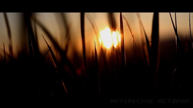 Ночью он прокрался в ее комнату и сделал то что так хотел. Брат и сестра. Измены. Истории из жизни. смотреть онлайн