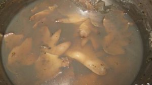 Куриные гребешки в кляре