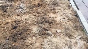 Загородная жизнь. Брикет торфяной и его зола.