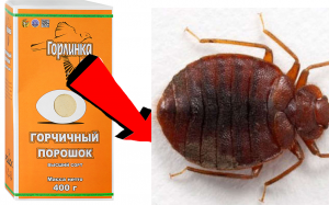 Как избавиться от клопов , Уничтожение клопов.