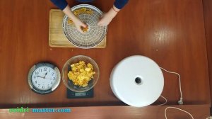 Сушка ананаса – 4 кг