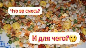 Мексиканская смесь,приготовила суп!👍😋Он его ест!😀Больше их не наденет!😏