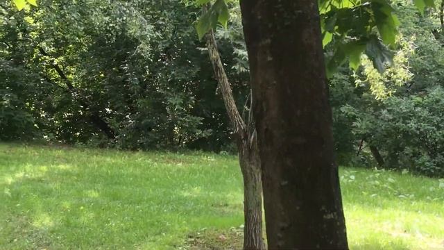 ?137?Так скучала я смотреть онлайн