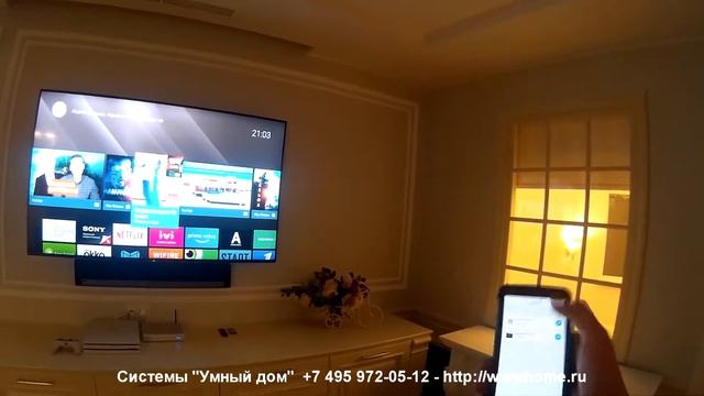 Домашний кинотеатр Sony в кухне-гостиной