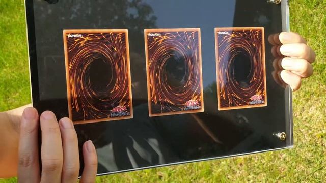 25th Anniversary Kaiba Case Japanese Blue Eyes White Dragon смотреть онлайн