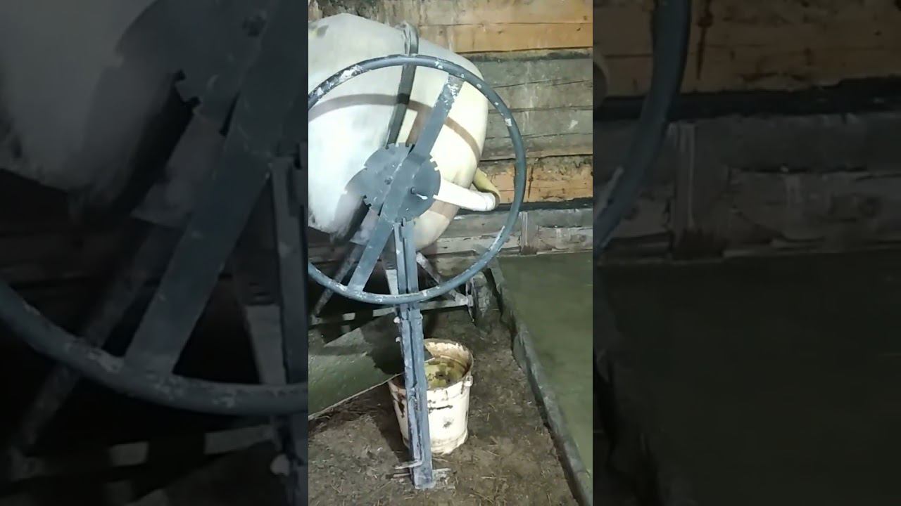 Проверка опции Shorts смотреть онлайн