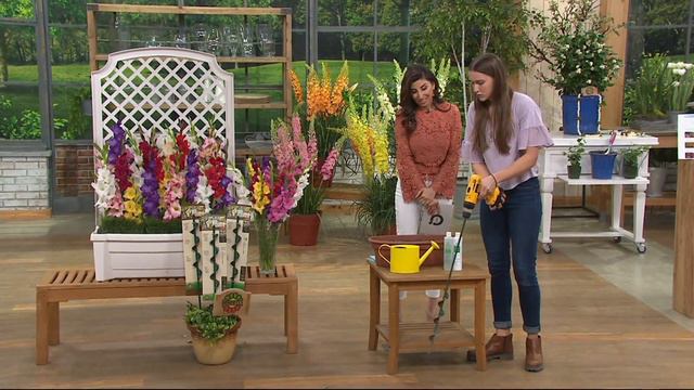 Roberta's 75-piece Sub Zero Hardy Gladiolus on QVC смотреть онлайн