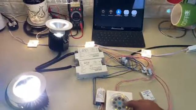 Casambi Demonstration - Controlling DALI & Casambi Networks at The Same Time
