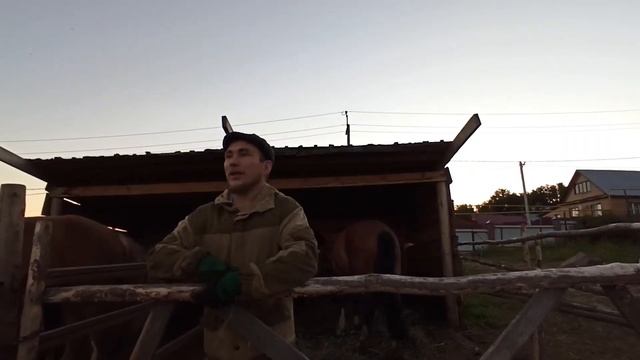 Охота на лошади с лайкой. Конюшня, бюджетный вариант. смотреть онлайн