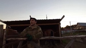 Охота на лошади с лайкой. Конюшня, бюджетный вариант.