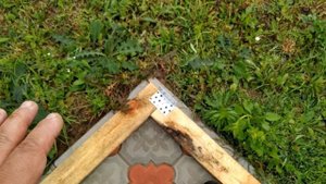 Самая дешевая беседка, Беседка из Гипермаркета Лента Giardino club 3306