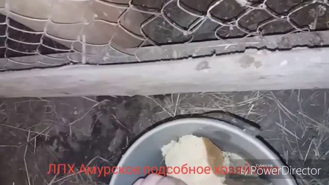 лизуны смотреть онлайн