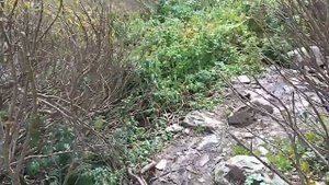 Экскурсия на каракульские озера (горный Алтай)