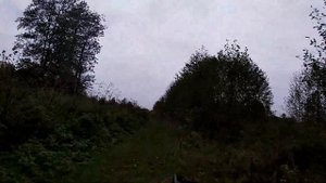 мотоблок ока 9 л с покатушки